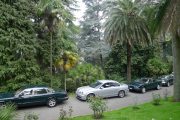 Genova 2011 (61/80)